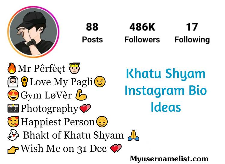Khatu Shyam Bio For Instagram