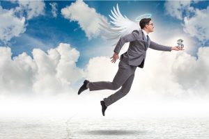 The Angel's Ante: The High-Risk, High-Reward World of Angel Investing in the Indian Startup Ecosystem