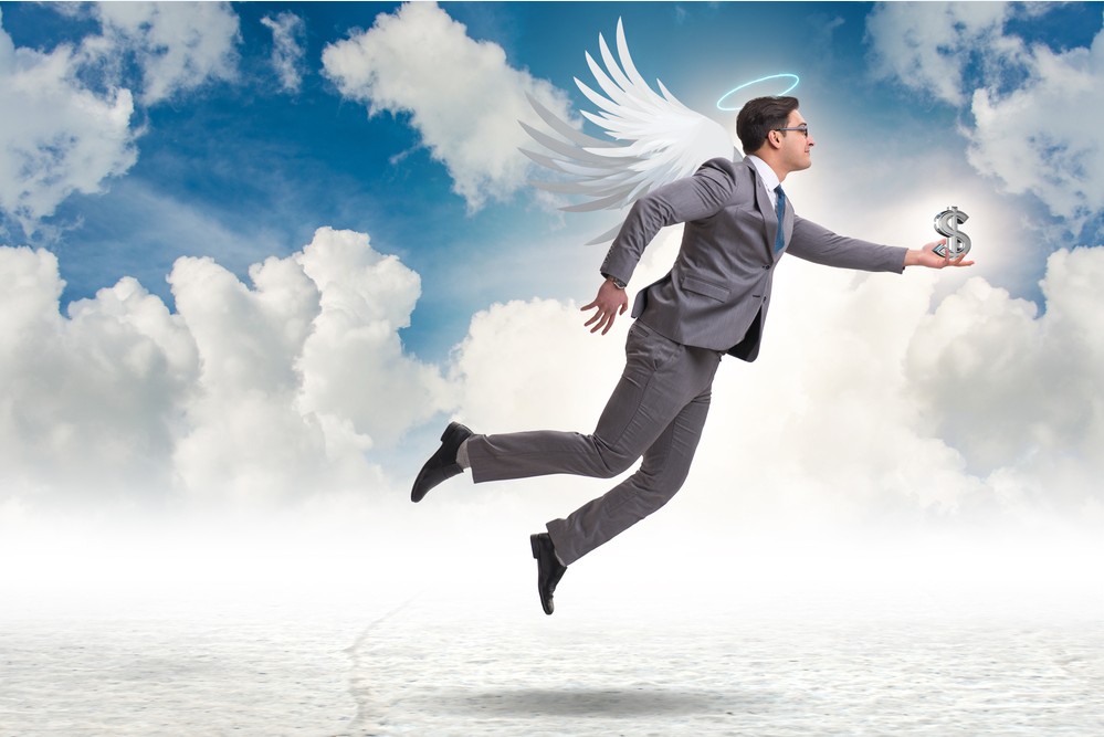 The Angel's Ante: The High-Risk, High-Reward World of Angel Investing in the Indian Startup Ecosystem