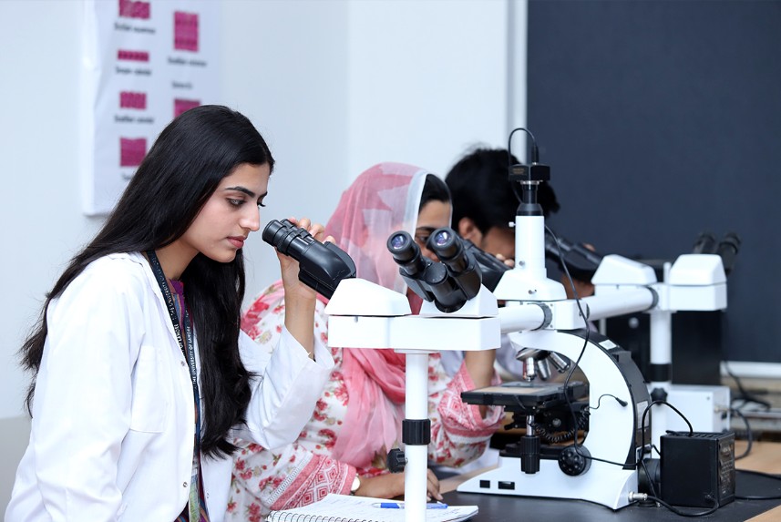From Labs to Clinics: Universities Preparing Students for Real-World Medicine