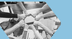 How Users Discover and Evaluate Digital Platforms: Key Considerations